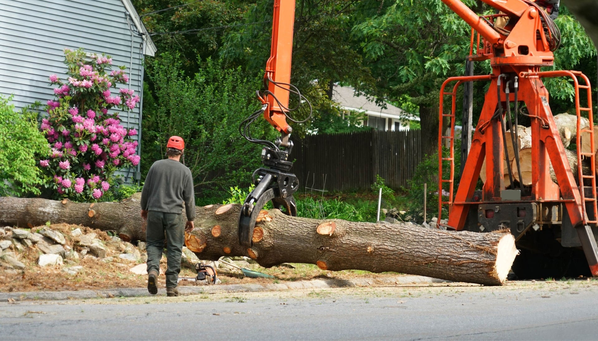 Local partner for Tree removal services in Sacramento
