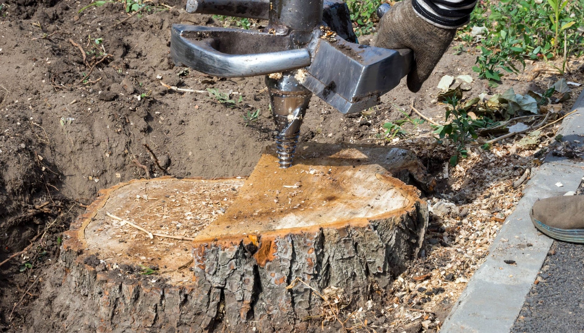 Sacramento Tree stump removal